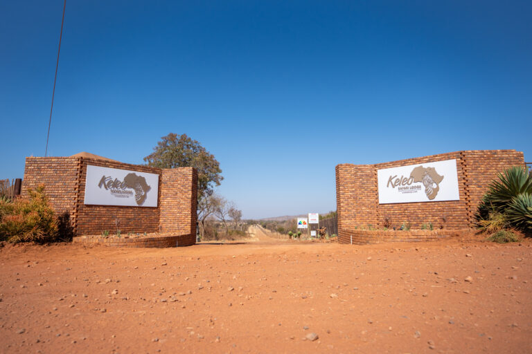 Safari lodge bela bela prices